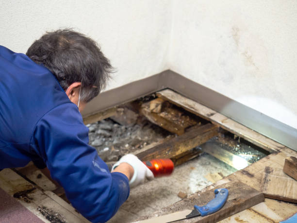 Best Industrial Mold Remediation in Gretna, LA