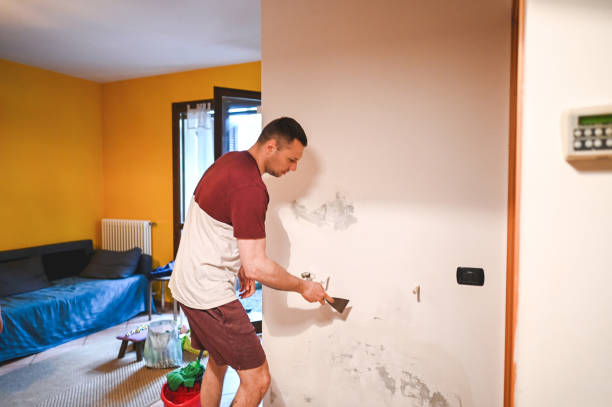 Best Health and Safety Mold Remediation in Gretna, LA